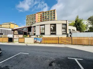 Pronájem bytu 2+kk, Liberec, Zámecký vrch, 54 m2