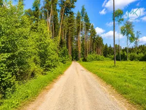Prodej chaty, Krásná Hora, 60 m2