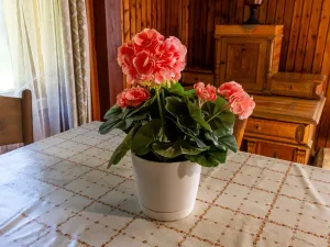 Prodej rodinného domu, Rychvald, Lesnická, 63 m2