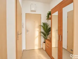 Pronájem bytu 1+kk, Olomouc, Horní lán, 24 m2