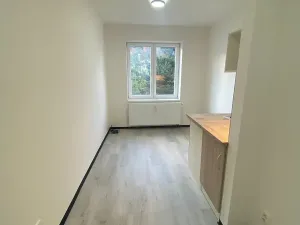 Pronájem bytu 1+kk, Praha - Hlubočepy, Na Zlíchově, 18 m2