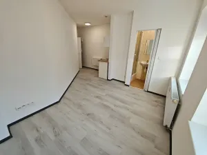 Pronájem bytu 1+kk, Praha - Hlubočepy, Na Zlíchově, 18 m2