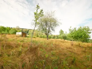 Prodej pozemku pro bydlení, Nová Pec, 2451 m2