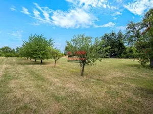 Prodej pozemku pro bydlení, Sedlice, 4153 m2