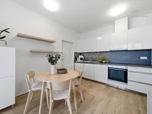 Prodej bytu 2+kk, Brno - Ponava, Střední, 49 m2