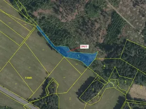 Dražba lesa, Český Rudolec, 2508 m2