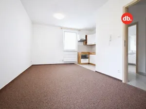 Pronájem bytu 2+kk, Ostrov, Karlovarská, 52 m2