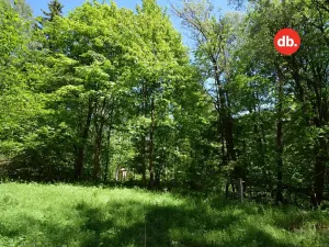 Prodej pozemku, Merklín, 3609 m2