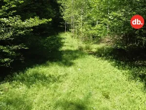 Prodej pozemku, Merklín, 3609 m2