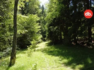 Prodej pozemku, Merklín, 3609 m2