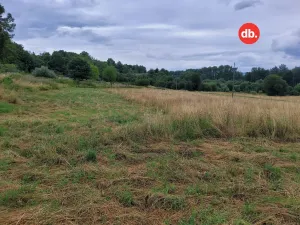 Prodej pozemku pro bydlení, Citice, 10671 m2