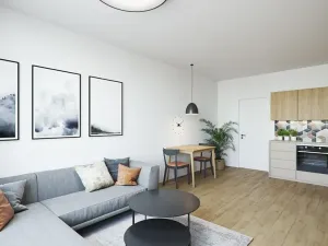 Prodej bytu 1+kk, Brno, Pionýrská, 29 m2