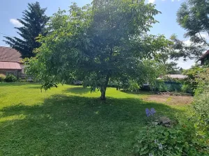 Prodej rodinného domu, Žďárná, 200 m2