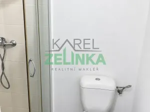 Pronájem bytu 1+1, Praha - Holešovice, Kamenická, 40 m2