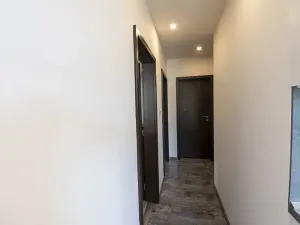 Prodej bytu 2+1, Brno, Luční, 50 m2