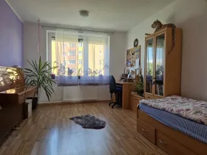 Prodej bytu 2+1, Brno, Ečerova, 64 m2