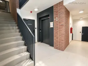 Pronájem bytu 2+kk, Praha - Karlín, Švarcova, 55 m2
