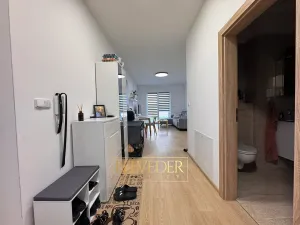 Pronájem bytu 3+kk, Teplice, Albrechtova, 73 m2