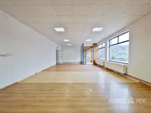 Prodej skladu, Tábor, Nábřeží, 237 m2