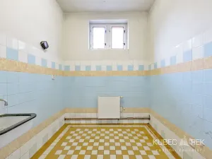 Prodej obchodního prostoru, Tábor, Nábřeží, 237 m2