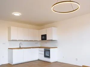 Pronájem bytu 1+kk, Silůvky, Anenská, 40 m2