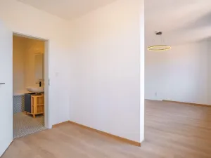 Pronájem bytu 1+kk, Silůvky, Anenská, 40 m2