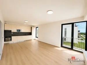 Pronájem bytu 2+kk, Plzeň - Jižní Předměstí, Železná, 57 m2