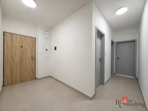 Pronájem bytu 2+kk, Plzeň - Jižní Předměstí, Železná, 57 m2