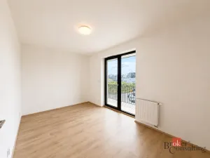Pronájem bytu 2+kk, Plzeň - Jižní Předměstí, Železná, 57 m2