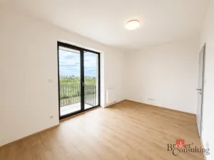 Pronájem bytu 2+kk, Plzeň - Jižní Předměstí, Železná, 57 m2