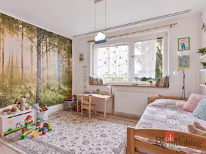 Prodej bytu 3+1, Stráž pod Ralskem, Mlýnská, 70 m2