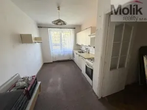 Prodej bytu 2+1, Litvínov - Horní Litvínov, U Zámeckého parku, 56 m2