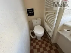 Prodej bytu 2+1, Litvínov - Horní Litvínov, U Zámeckého parku, 56 m2