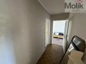 Prodej bytu 2+1, Litvínov - Horní Litvínov, U Zámeckého parku, 56 m2