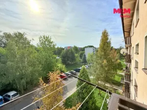 Prodej bytu 1+1, Milovice - Mladá, Braniborská, 27 m2