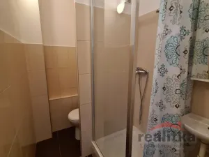 Pronájem bytu 1+kk, Opava - Předměstí, Nerudova, 22 m2