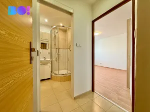 Prodej bytu 1+1, Havířov, Kosmonautů, 26 m2
