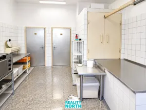 Prodej rodinného domu, Světec, Kostomlatská, 450 m2