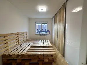 Pronájem bytu 3+1, Louka, 66 m2
