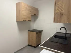 Pronájem bytu 2+1, Litvínov - Janov, Kopistská, 38 m2