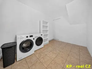 Prodej rodinného domu, Bříza, 247 m2