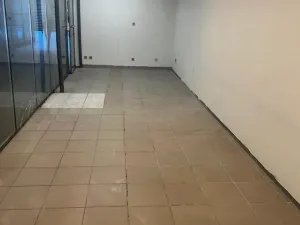 Pronájem obchodního prostoru, Praha - Krč, Budějovická, 30 m2