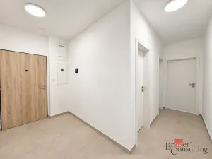 Pronájem bytu 2+kk, Plzeň - Jižní Předměstí, Železná, 57 m2