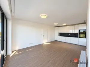 Pronájem bytu 2+kk, Plzeň - Jižní Předměstí, Železná, 57 m2