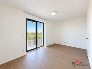 Pronájem bytu 2+kk, Plzeň - Jižní Předměstí, Železná, 57 m2