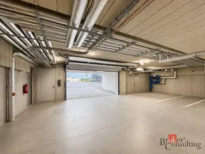 Pronájem bytu 2+kk, Plzeň - Jižní Předměstí, Železná, 57 m2