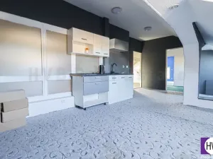 Prodej obchodního prostoru, Ostrava - Mariánské Hory, Daliborova, 642 m2