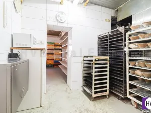 Prodej obchodního prostoru, Ostrava - Mariánské Hory, Daliborova, 642 m2