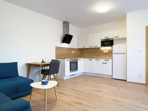 Pronájem bytu 3+kk, Brno, Pod Mniší horou, 61 m2