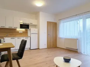 Pronájem bytu 3+kk, Brno, Pod Mniší horou, 61 m2